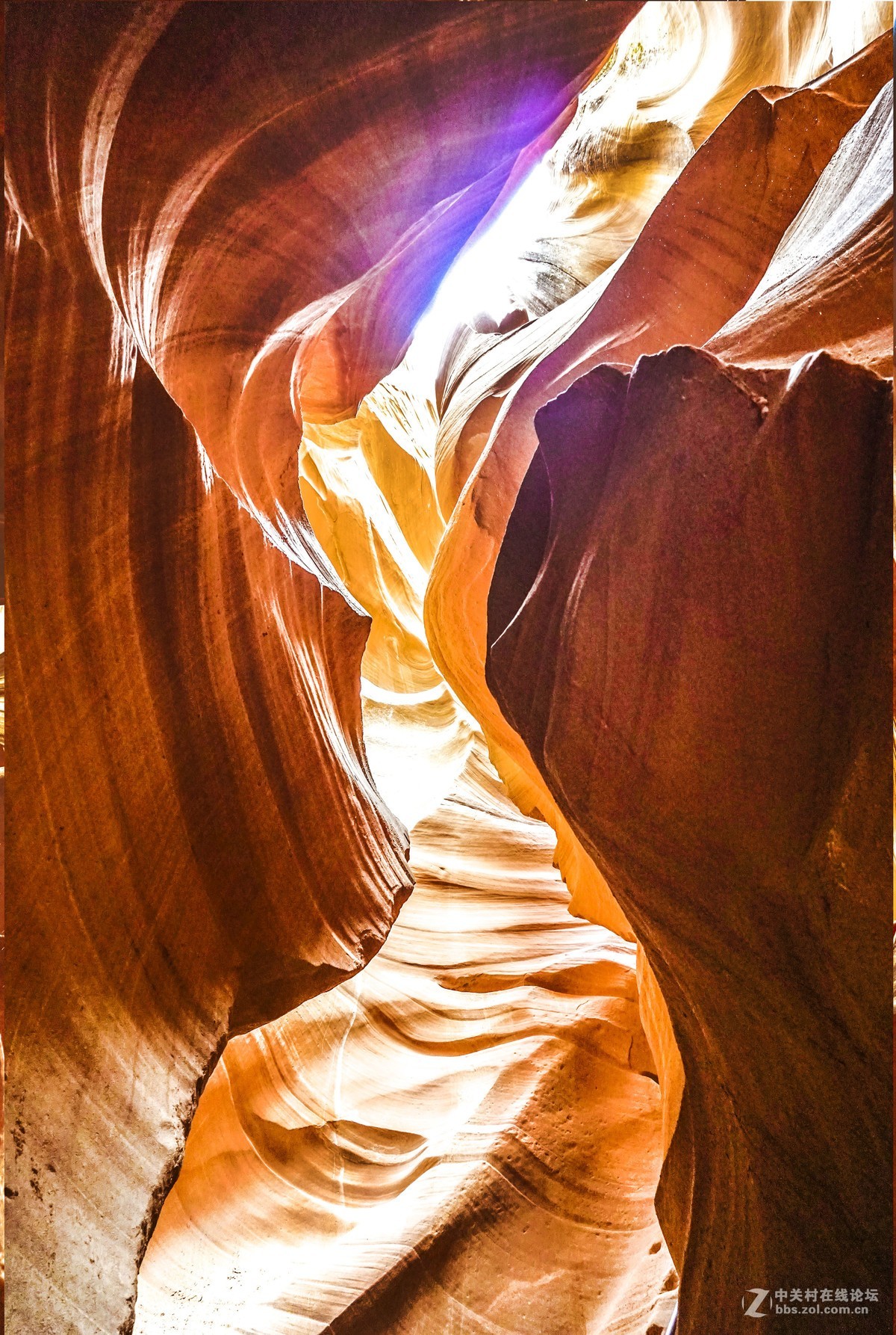 美国西部羚羊谷