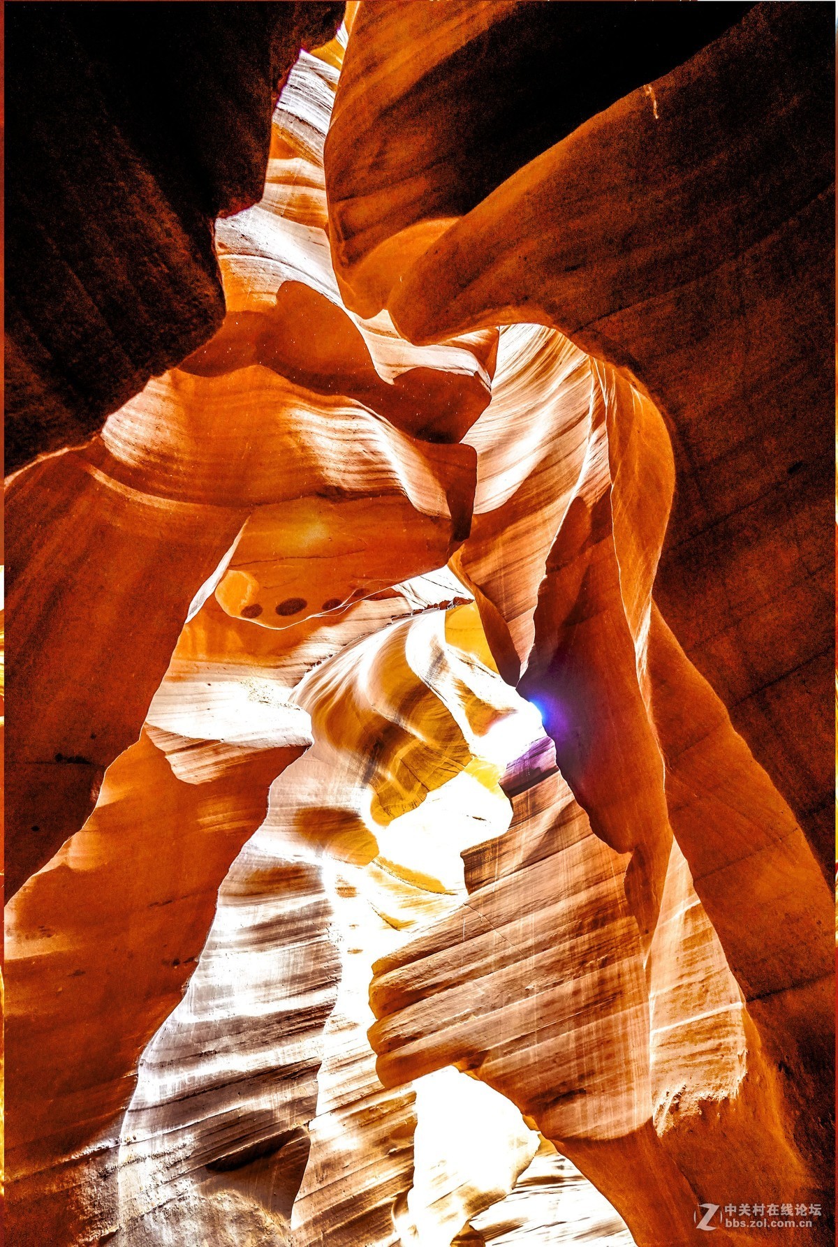 美国西部羚羊谷