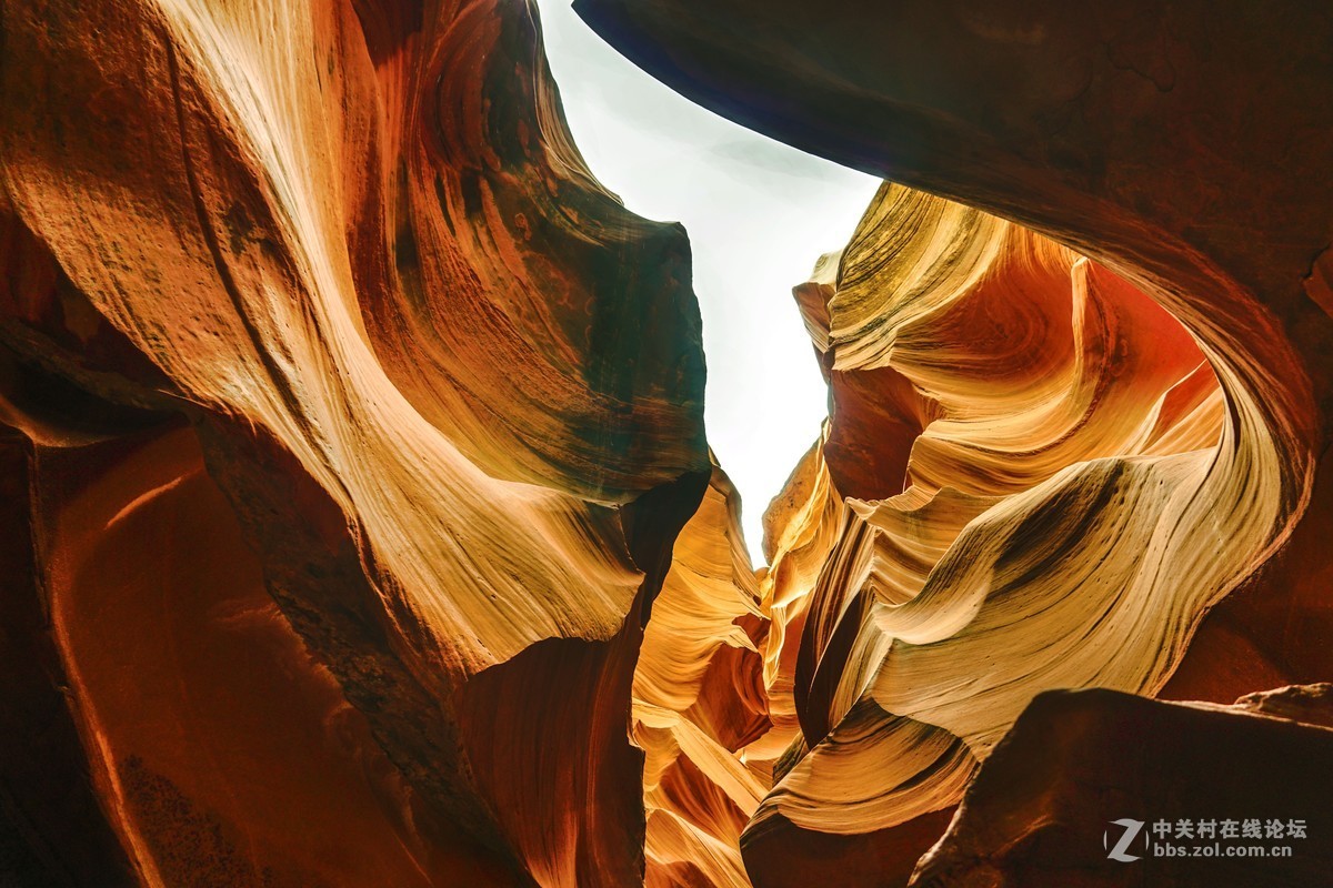 美国西部羚羊谷