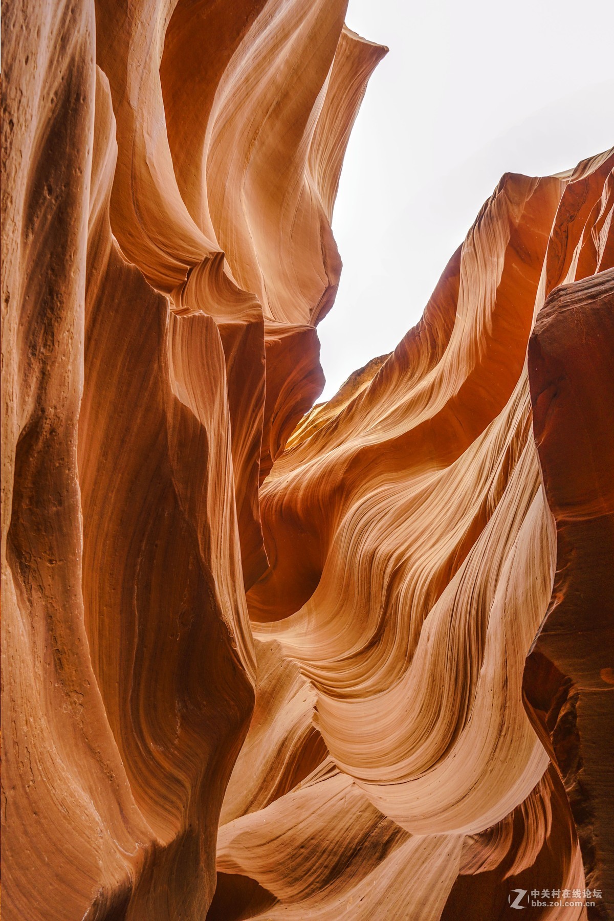 美国西部羚羊谷