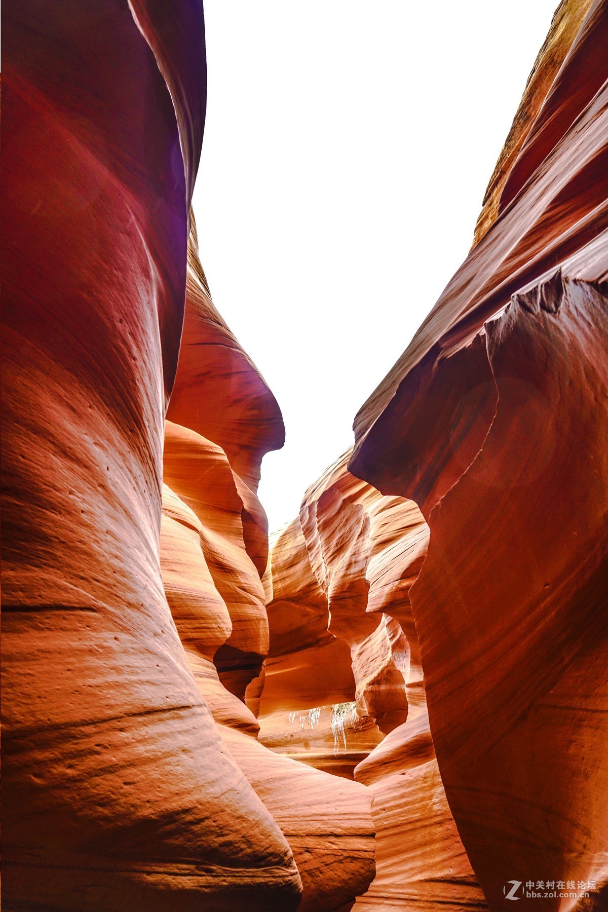 美国西部羚羊谷