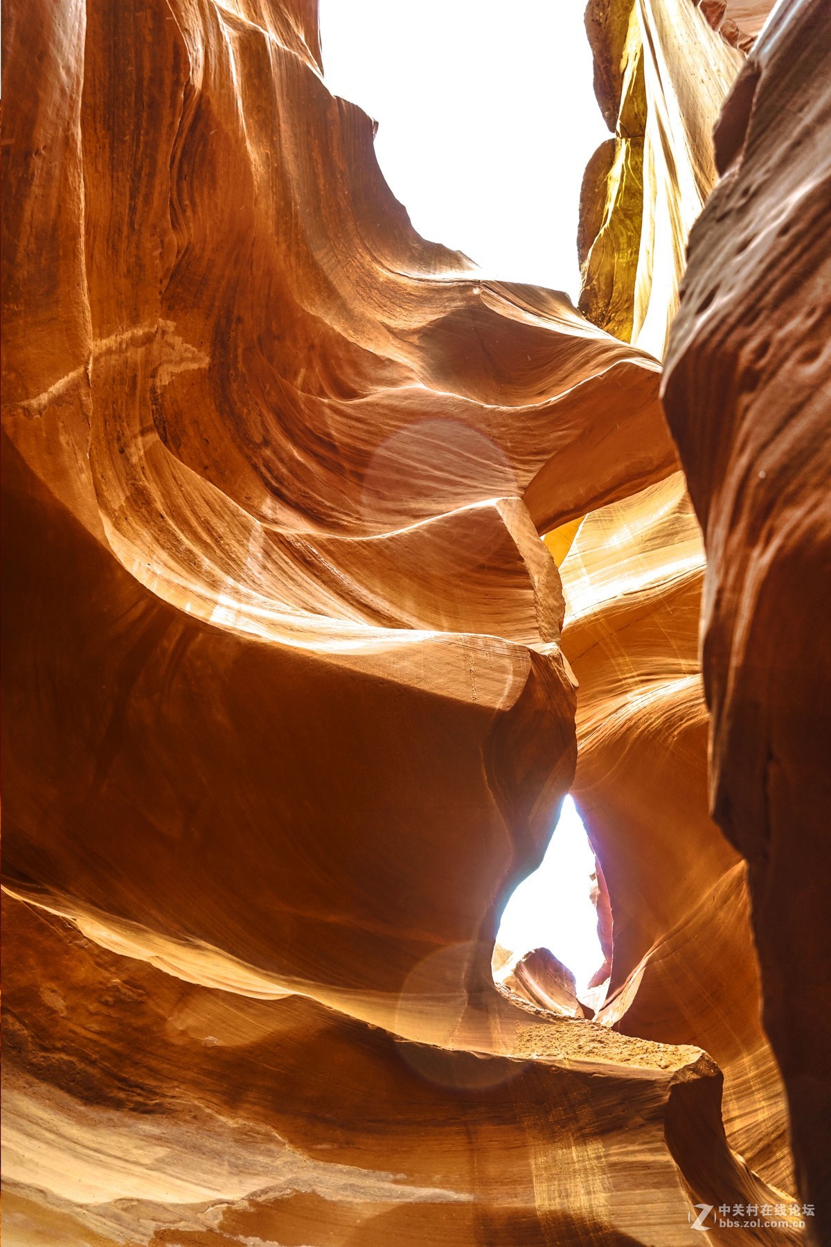 美国西部羚羊谷