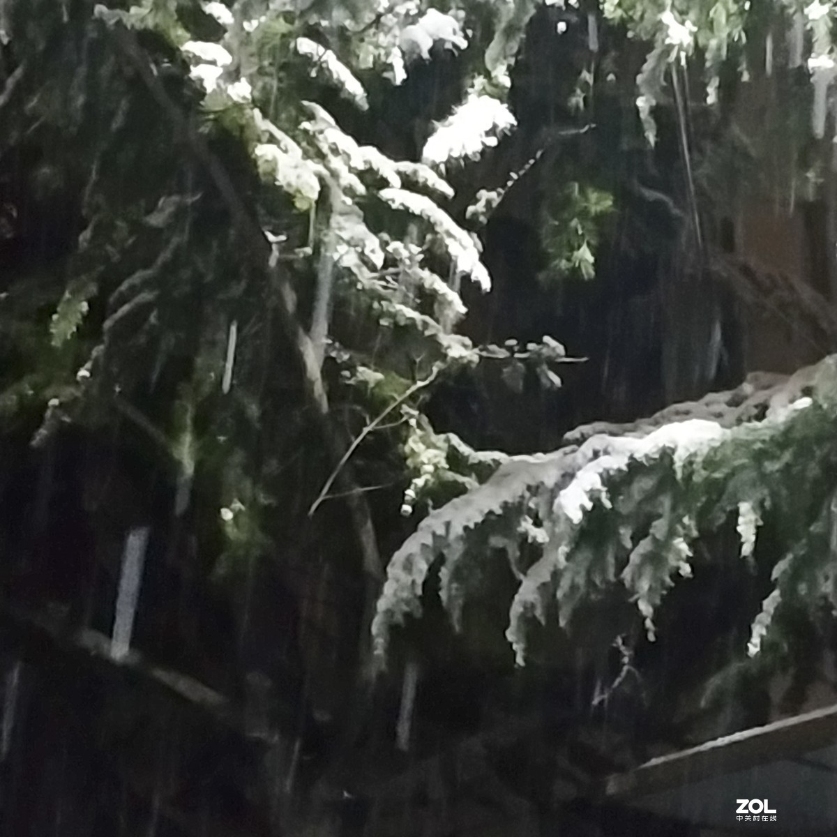 北京：今年首场雪于今夜飘落