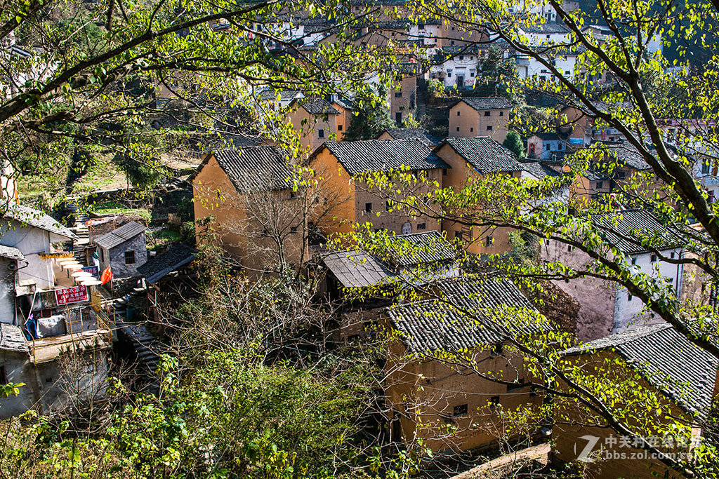 皖南阳产村画中行2015.11.27.