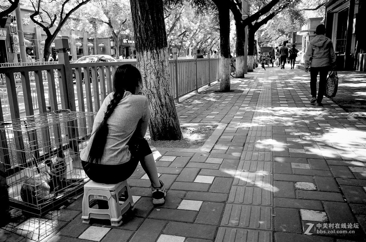 街头琐视界：5月