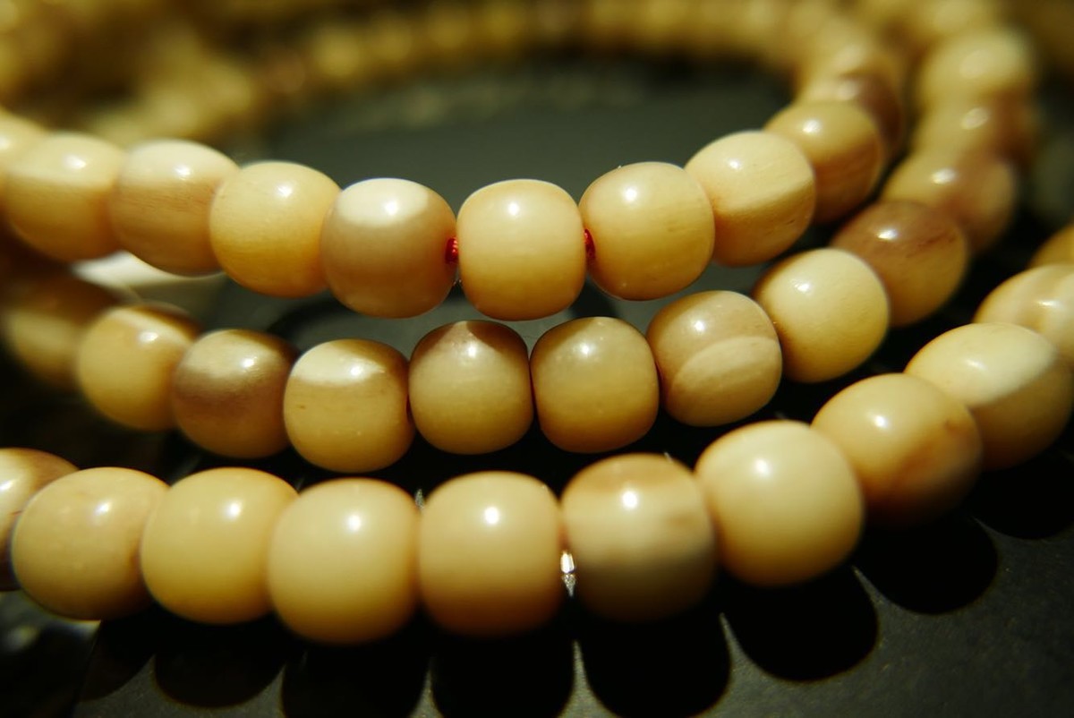 发一帖，纪念一下typ109入手