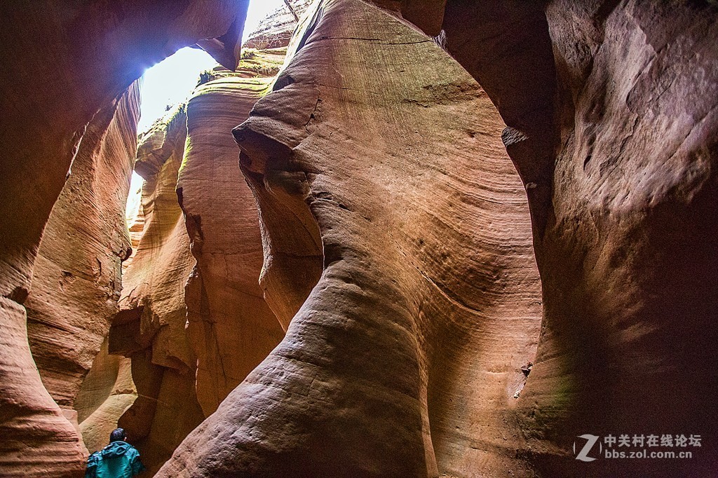 延安甘泉雨岔峡谷