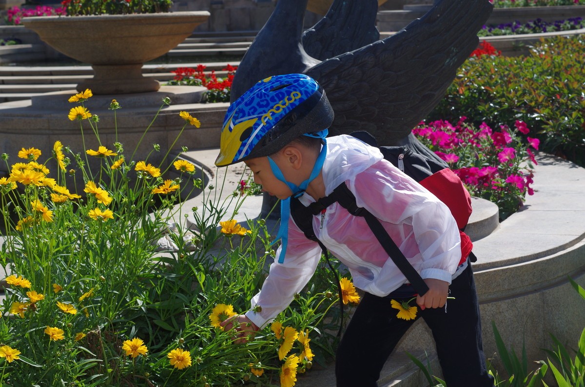 夏天静悄悄叶绿花红