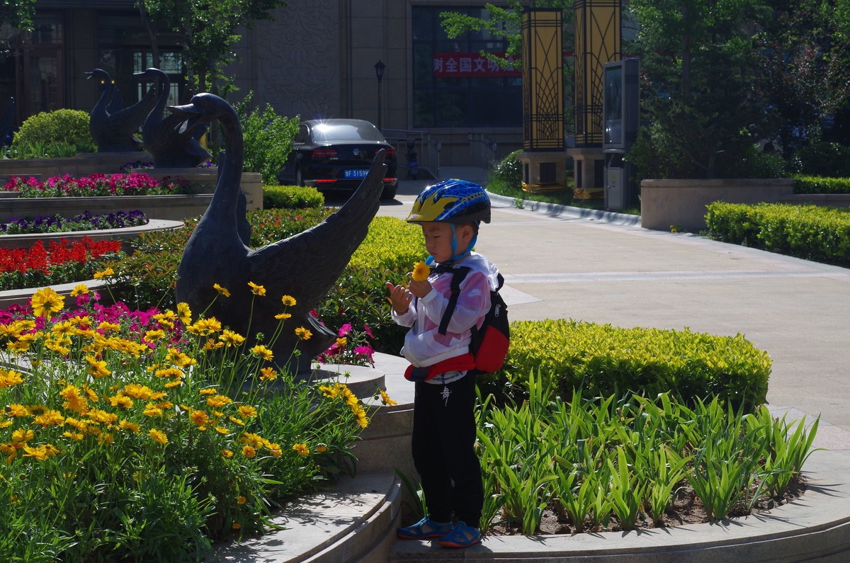 夏天静悄悄叶绿花红