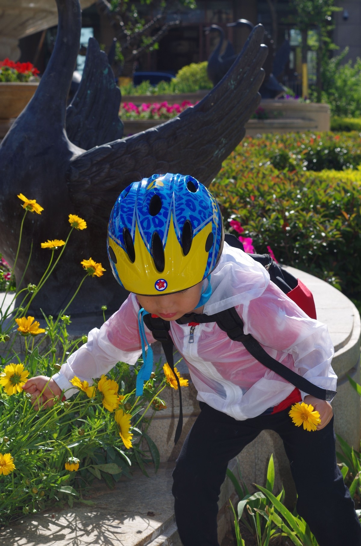 夏天静悄悄叶绿花红