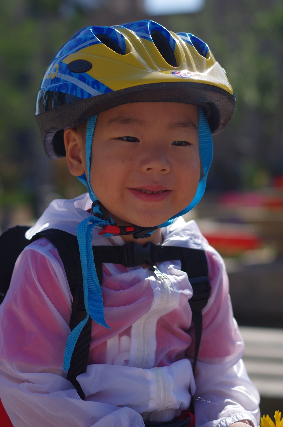 夏天静悄悄叶绿花红