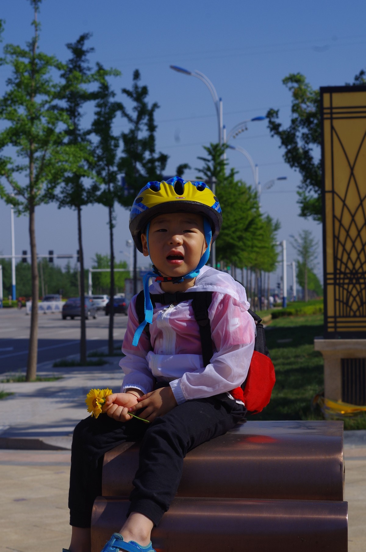 夏天静悄悄叶绿花红