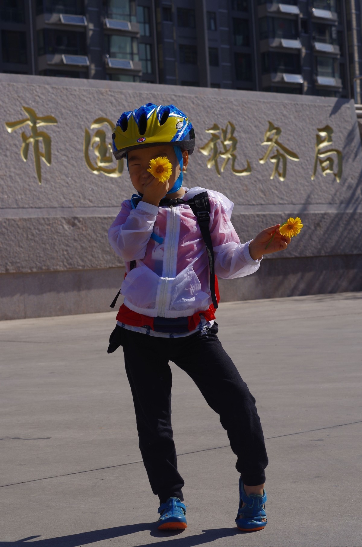 夏天静悄悄叶绿花红