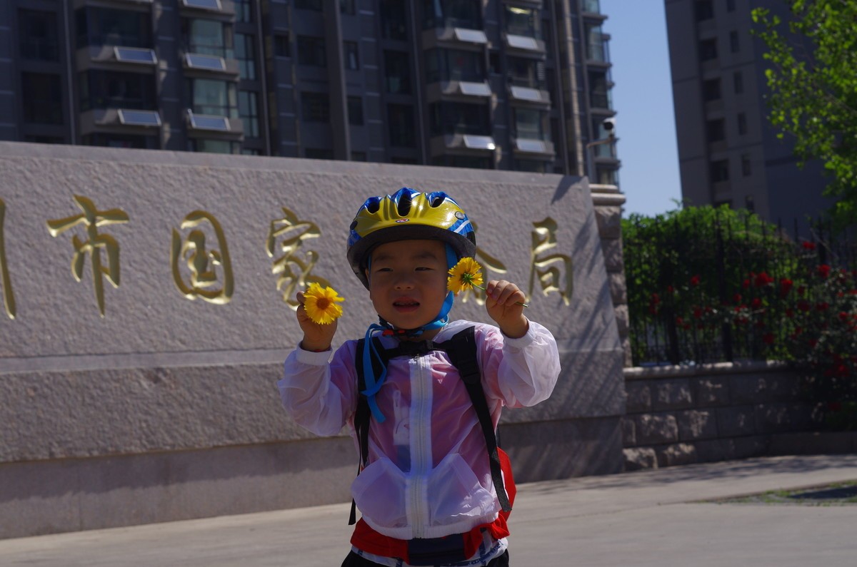 夏天静悄悄叶绿花红