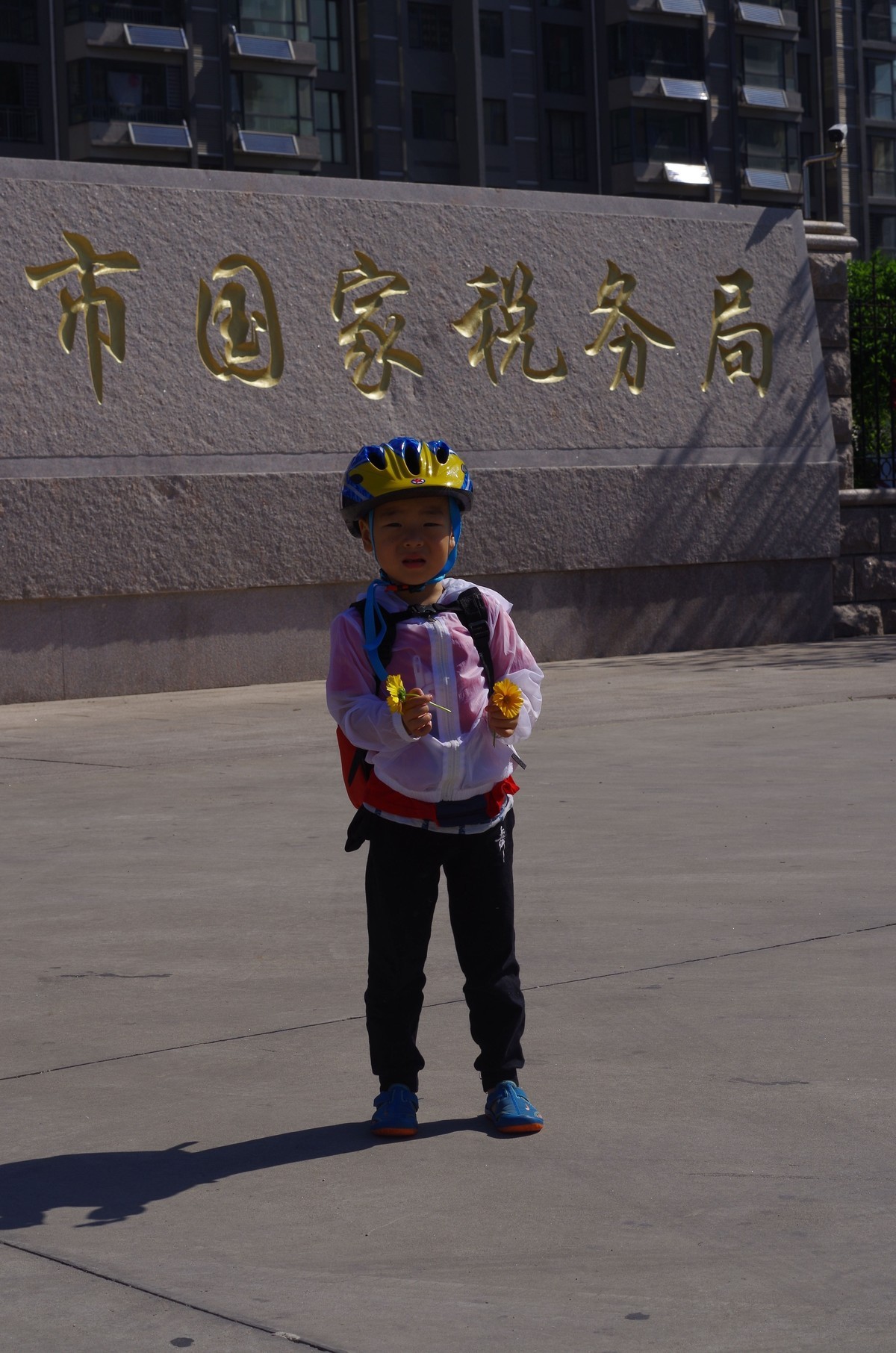 夏天静悄悄叶绿花红