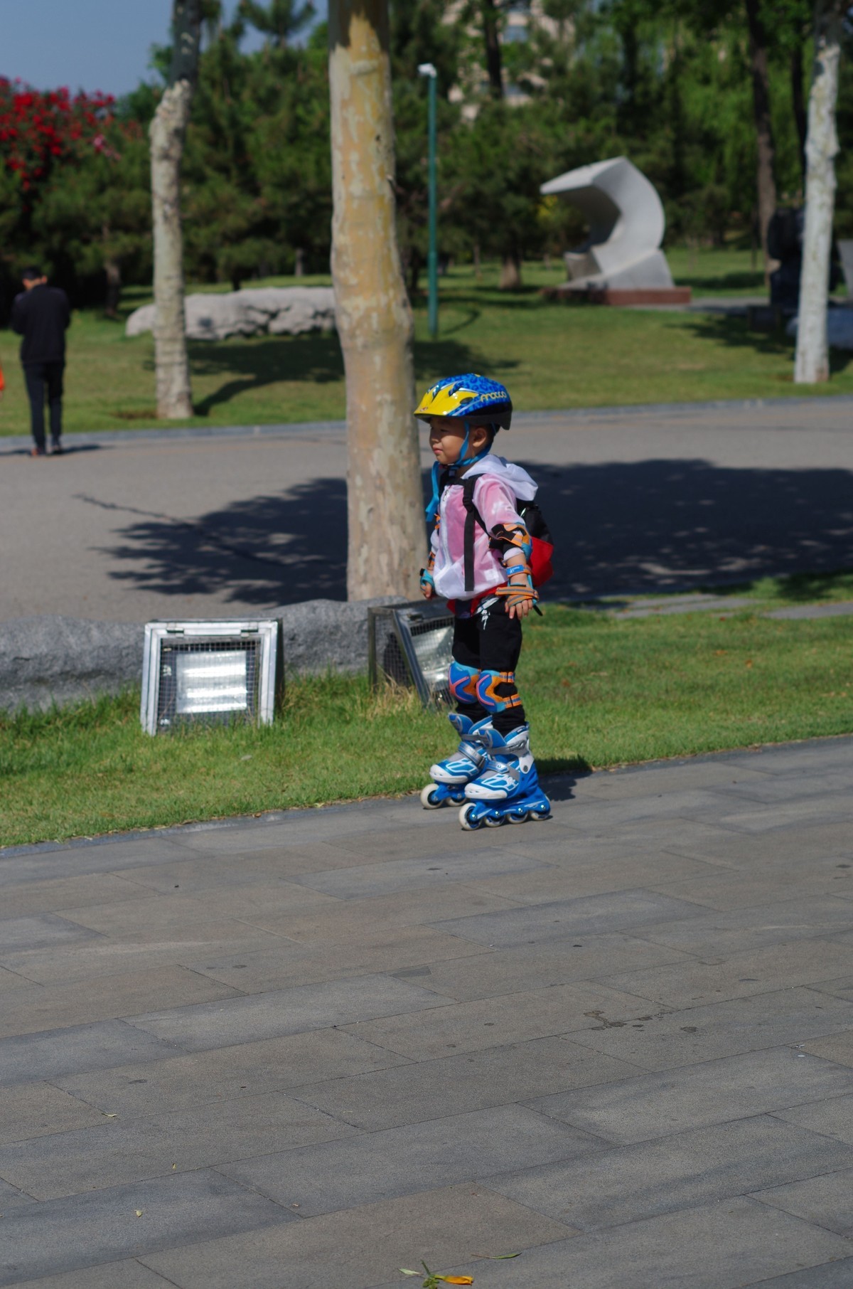 夏天静悄悄叶绿花红