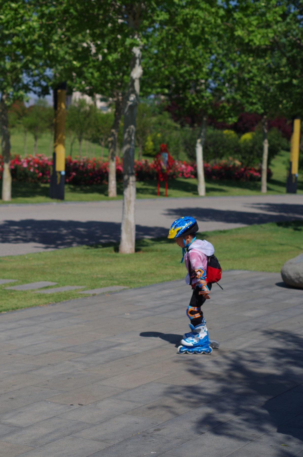 夏天静悄悄叶绿花红