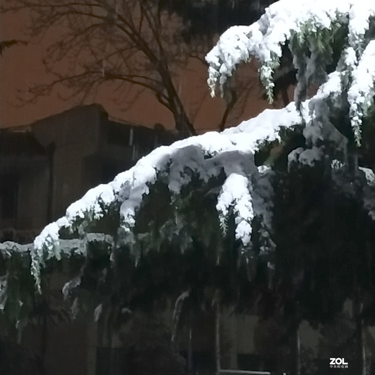 北京：今年首场雪于今夜飘落