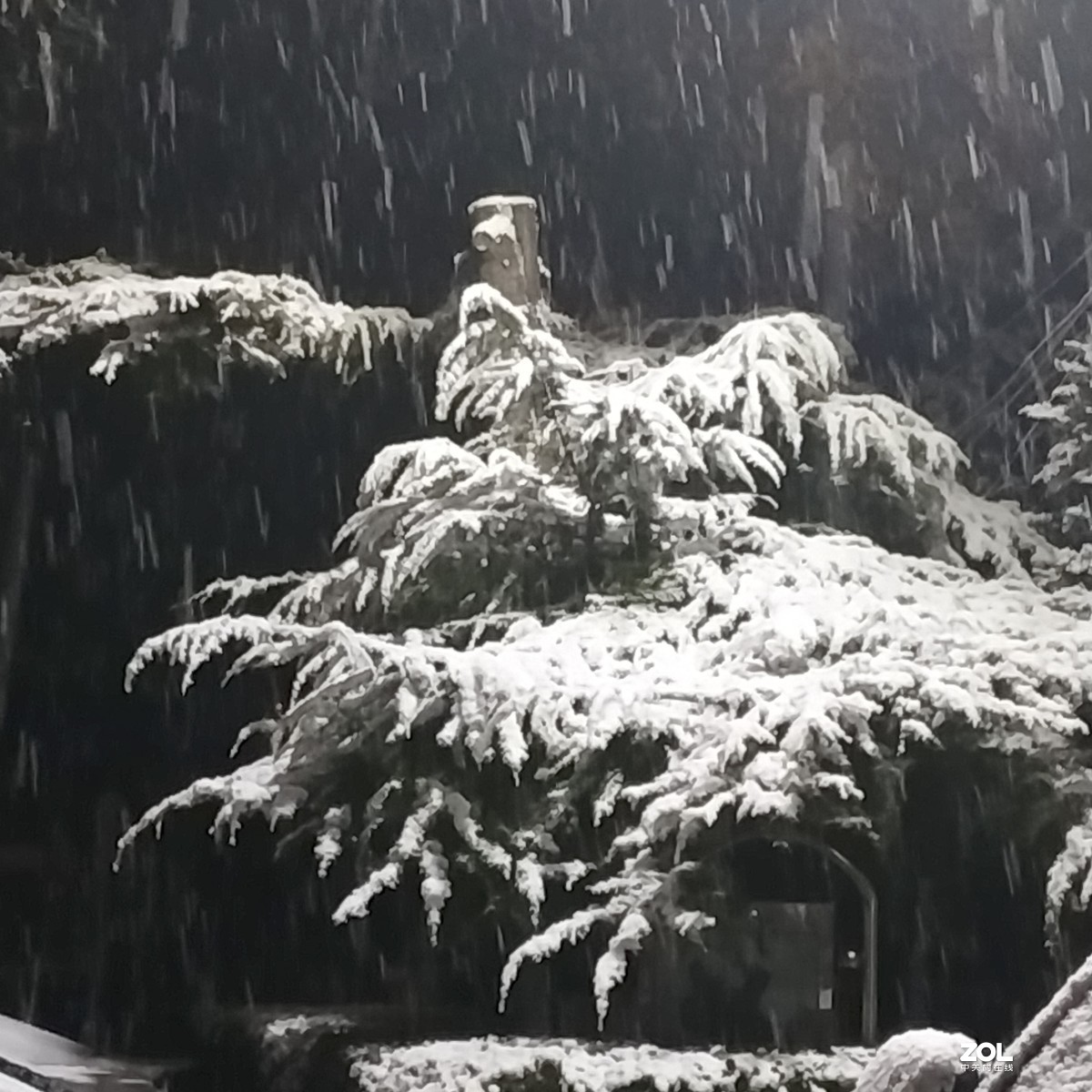北京：今年首场雪于今夜飘落