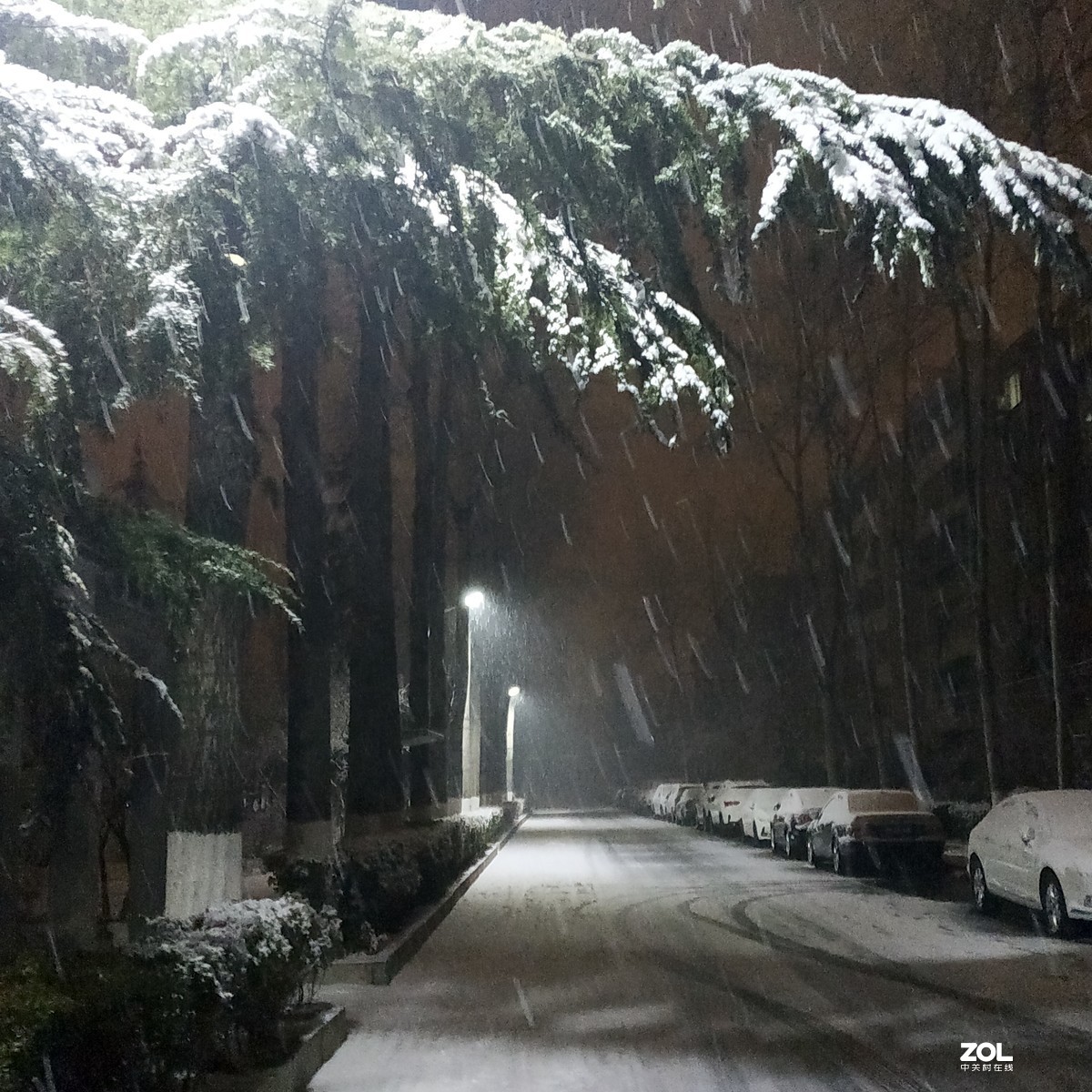 北京：今年首场雪于今夜飘落