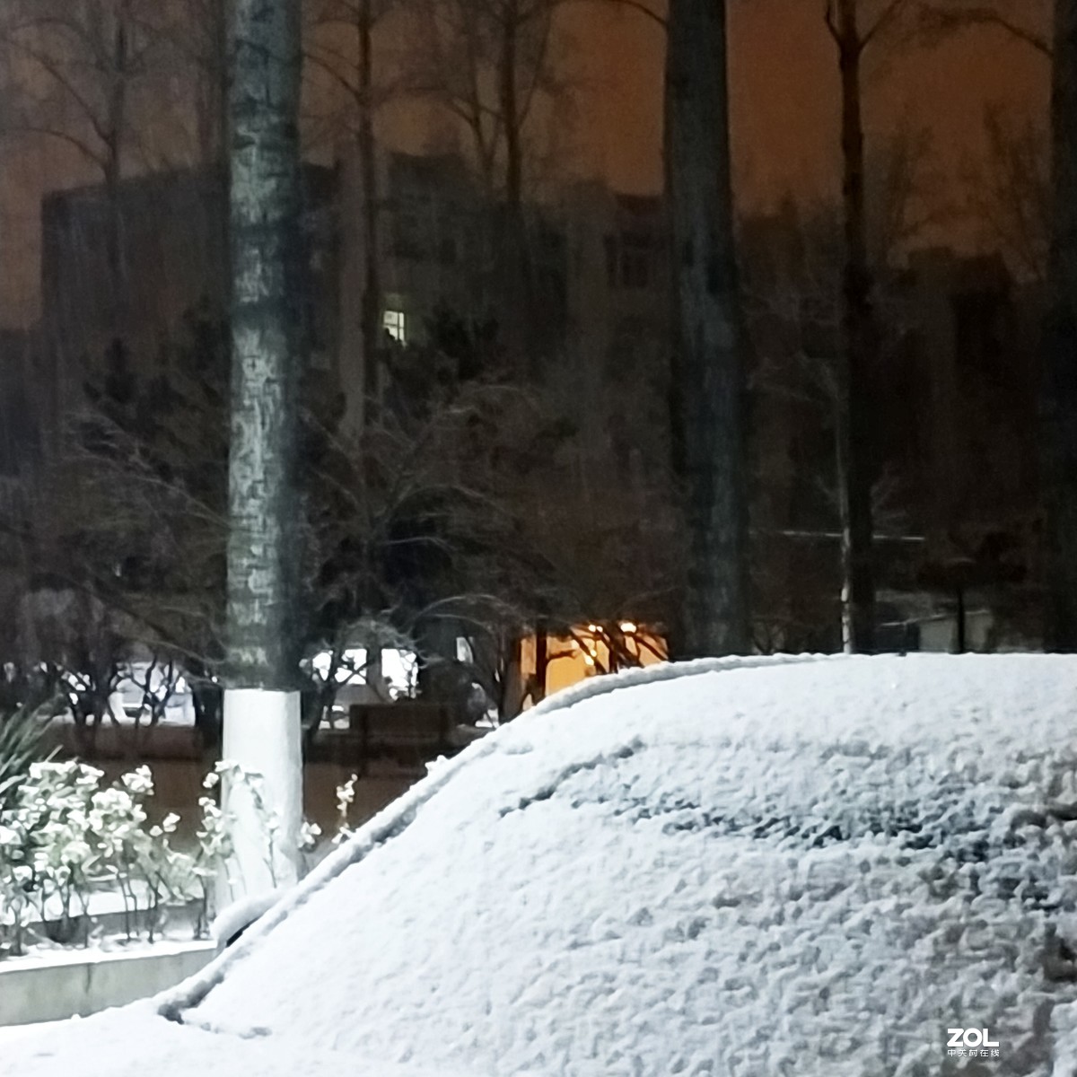 北京：今年首场雪于今夜飘落