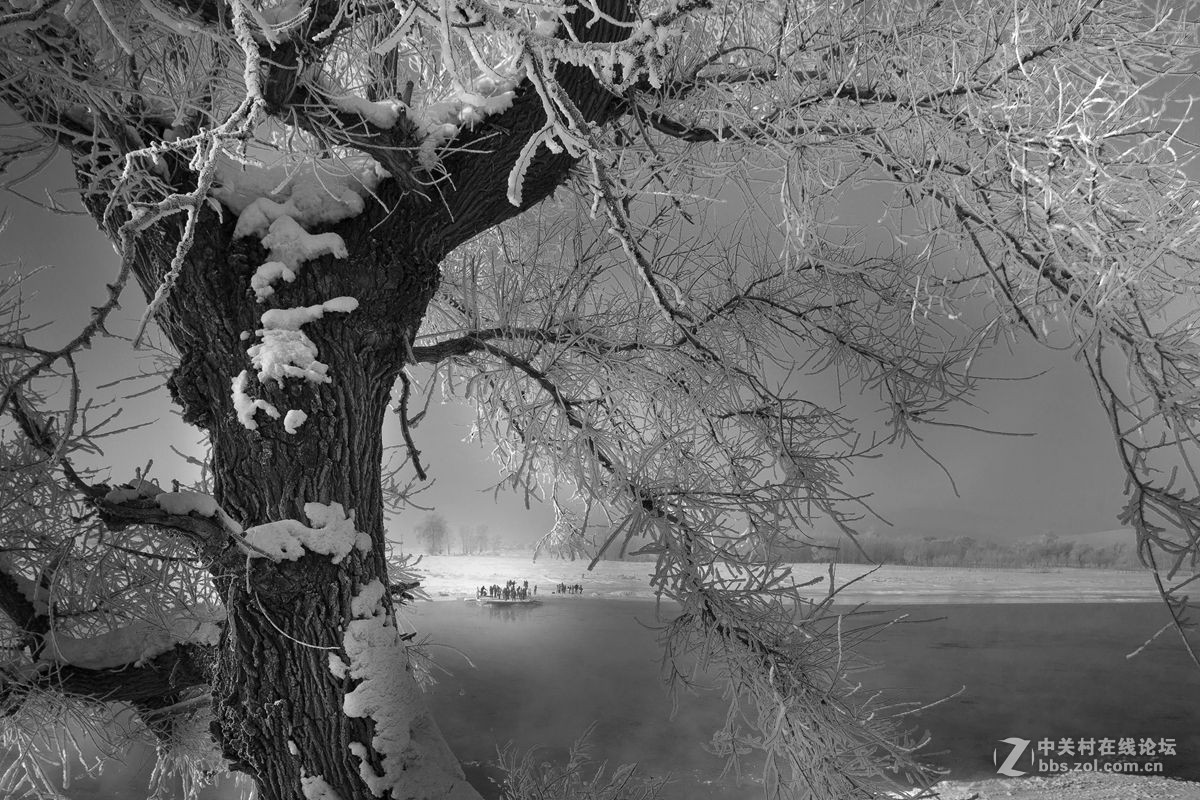 黑白雾凇