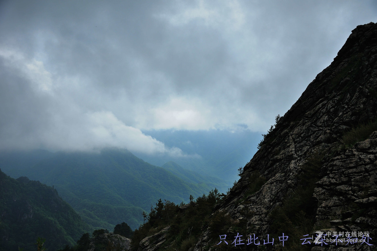 只在此山中 云深不知处