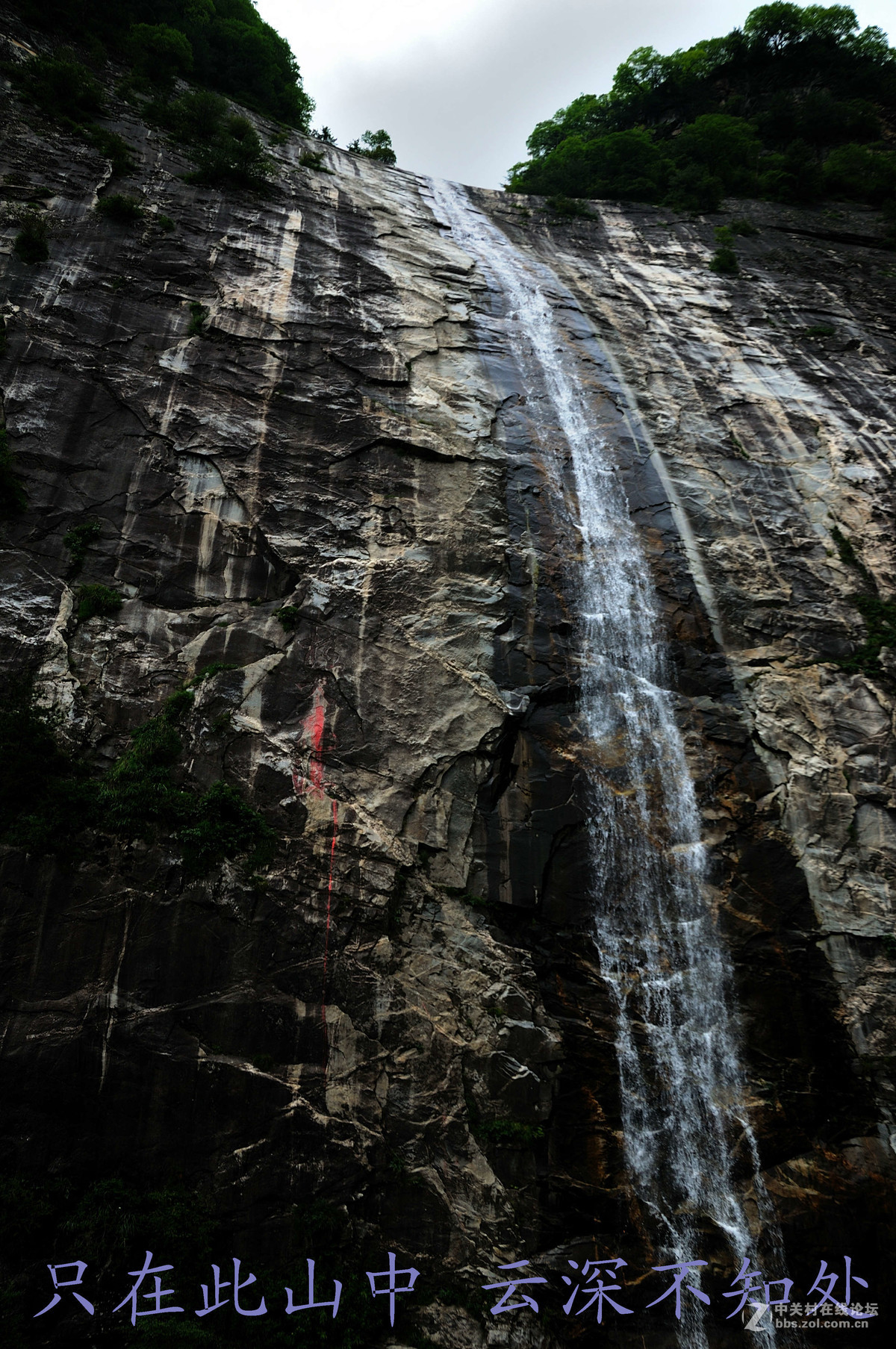 只在此山中 云深不知处