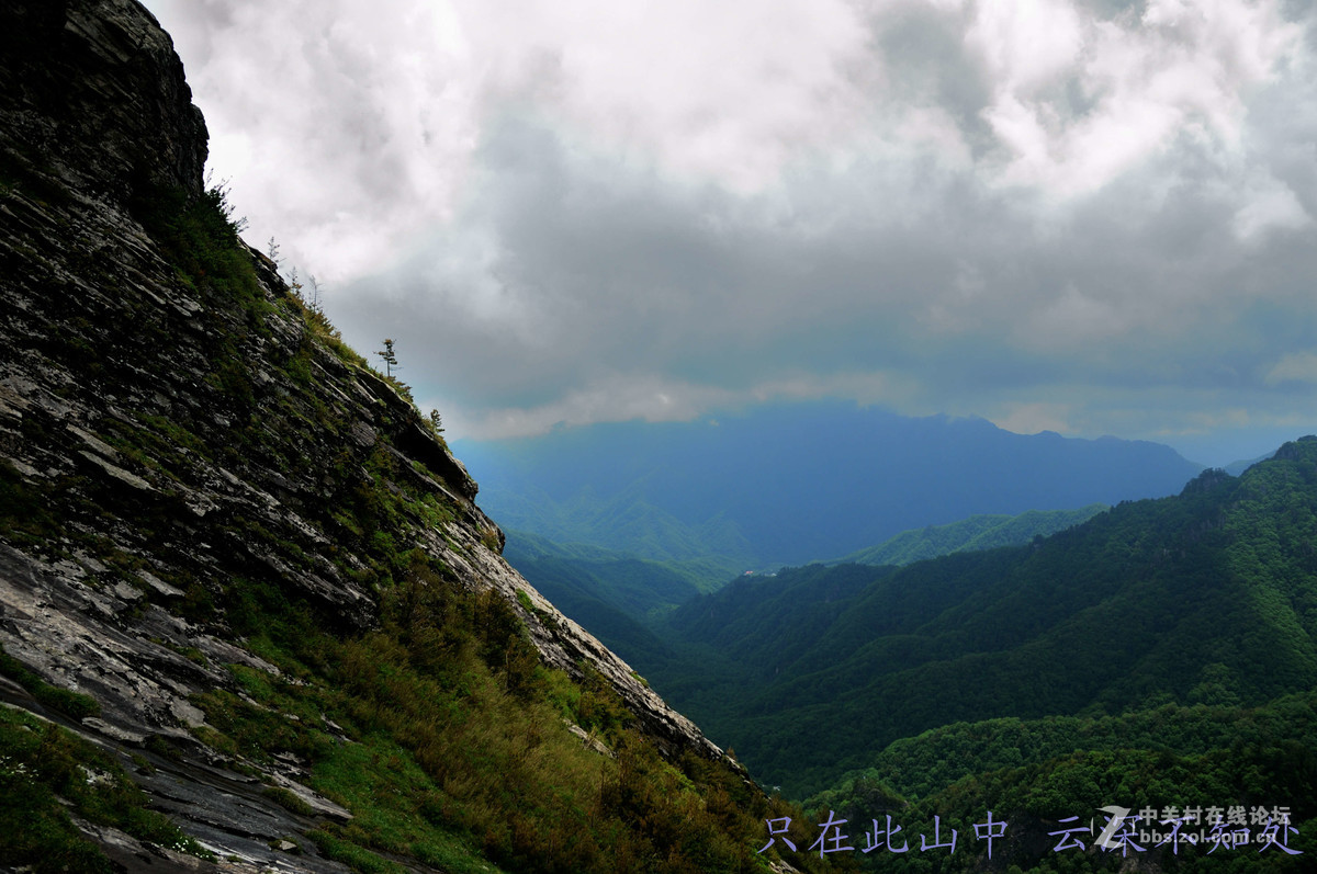只在此山中 云深不知处