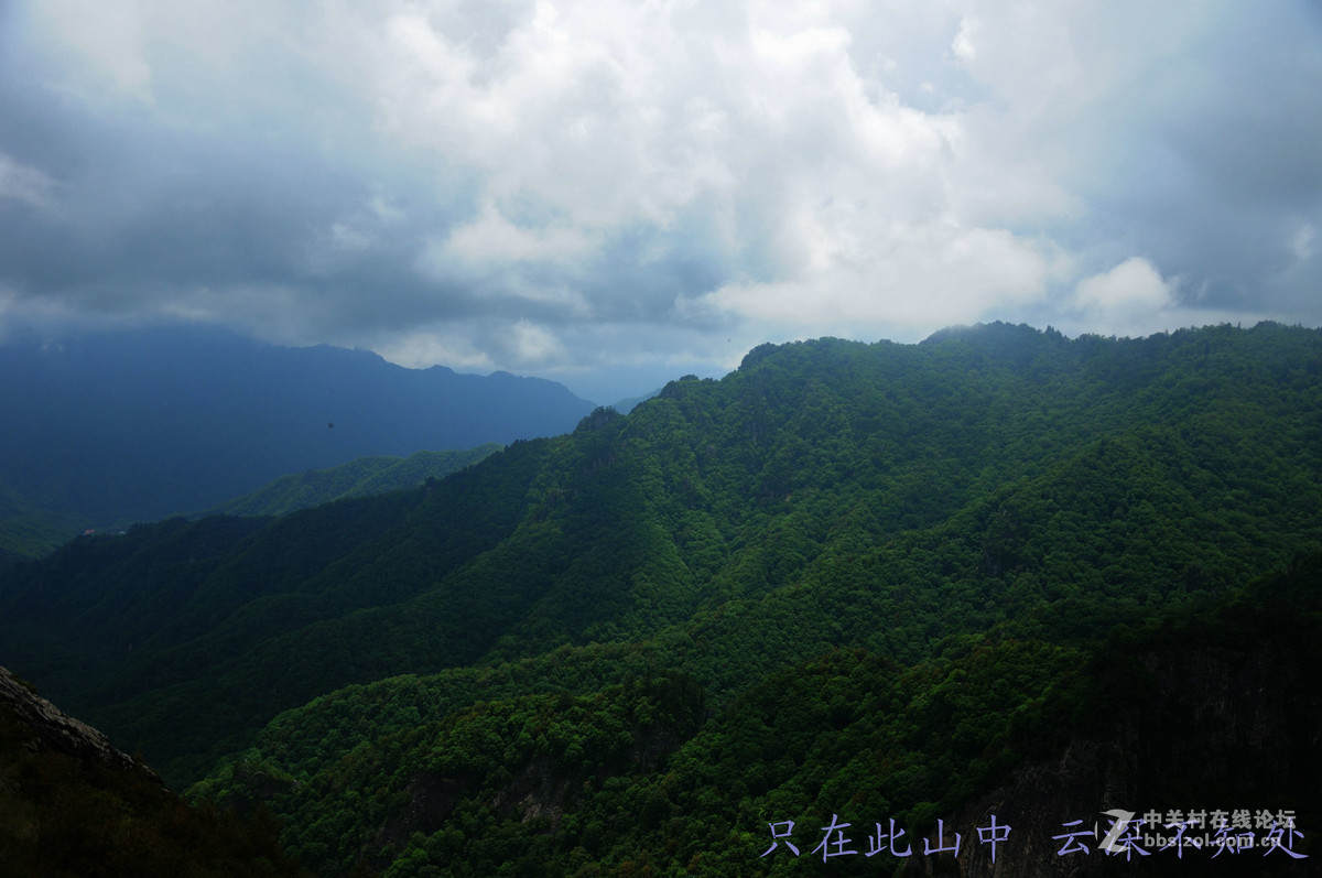 只在此山中 云深不知处