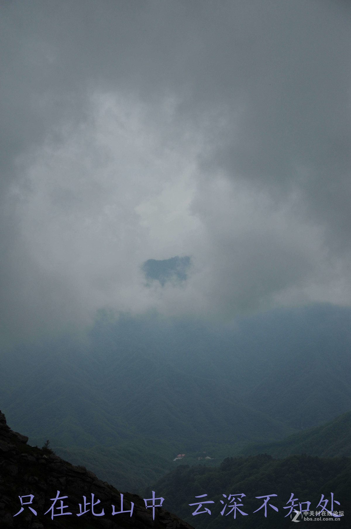 只在此山中 云深不知处