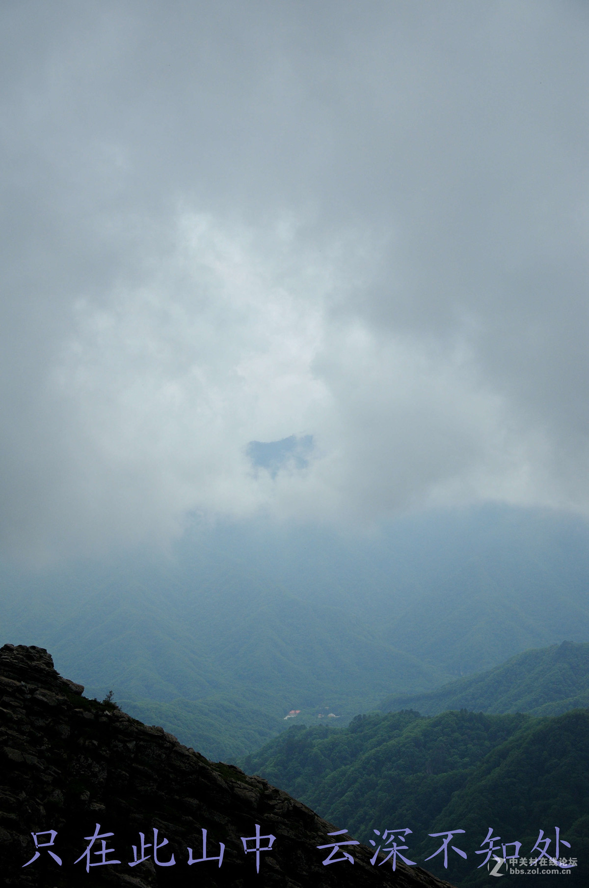 只在此山中 云深不知处