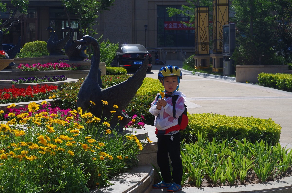 夏天静悄悄叶绿花红