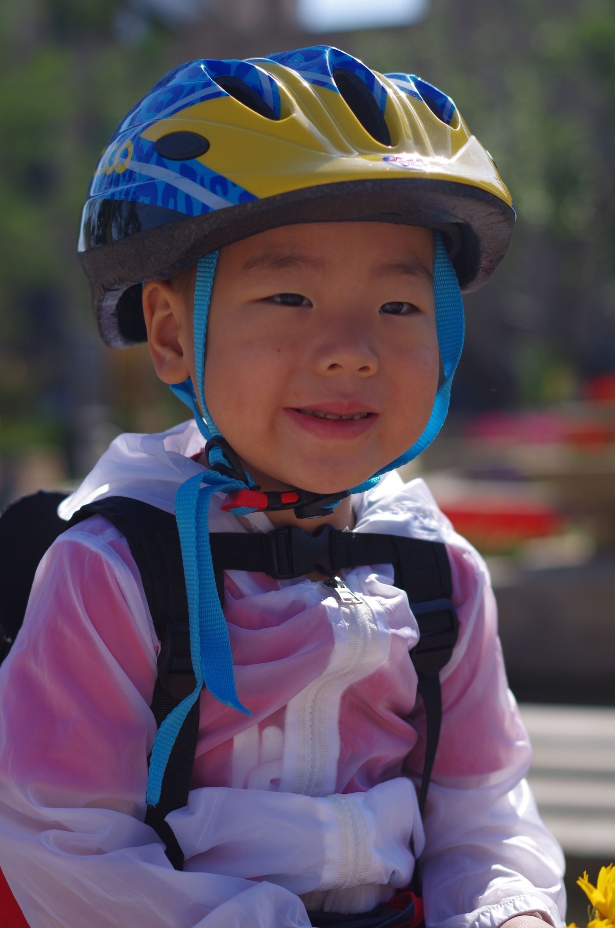 夏天静悄悄叶绿花红