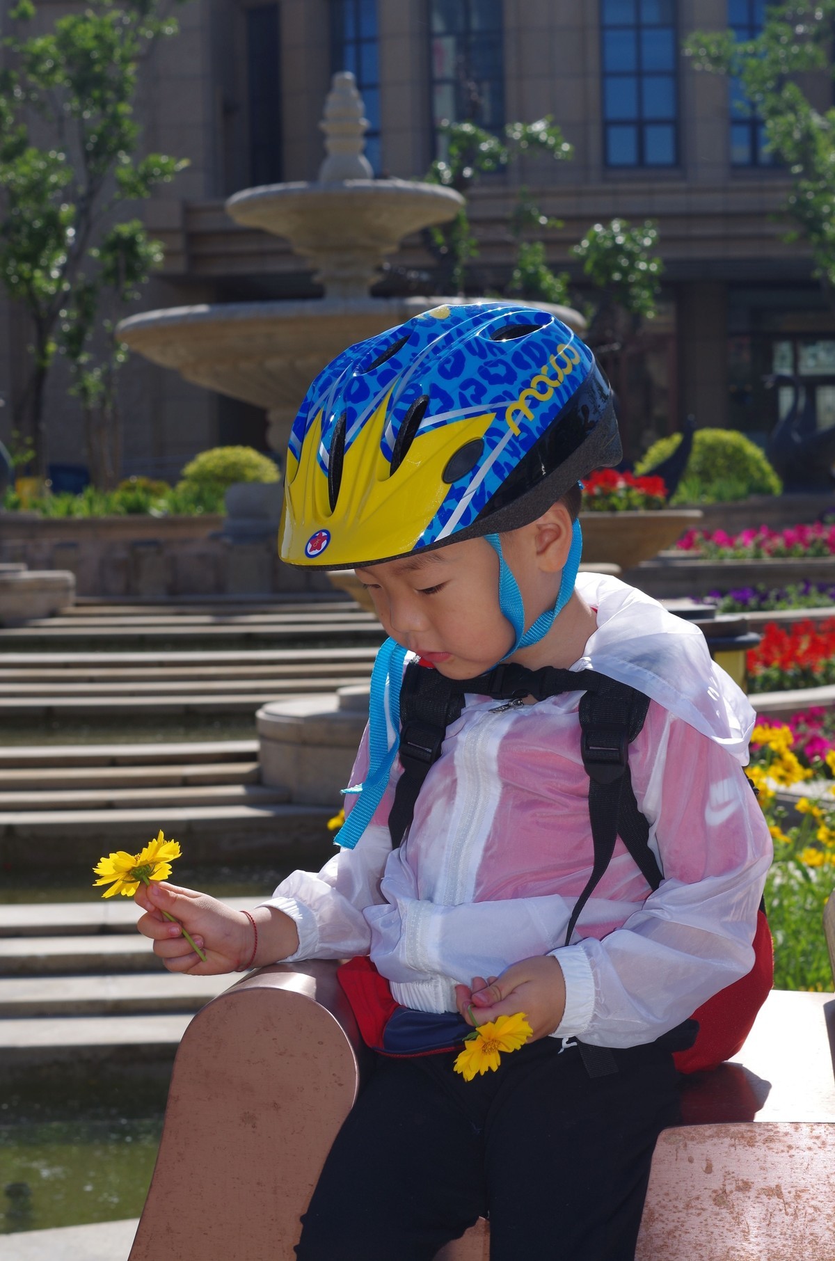 夏天静悄悄叶绿花红