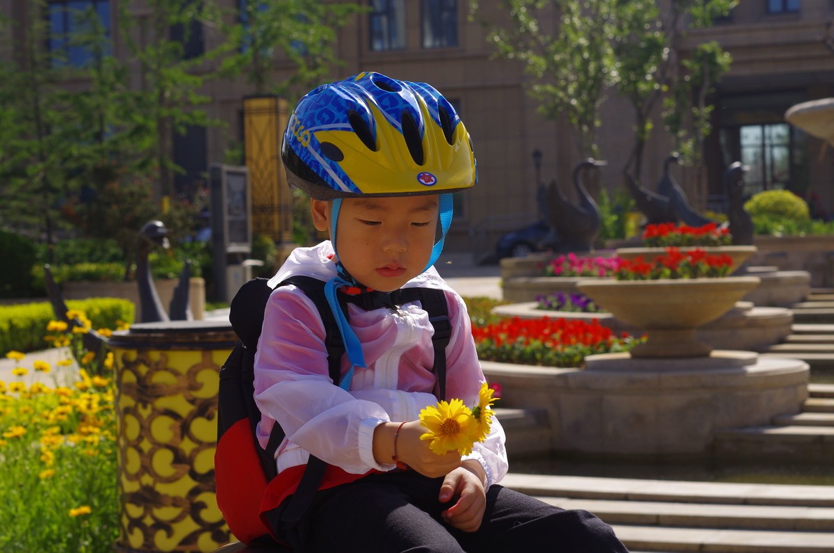 夏天静悄悄叶绿花红