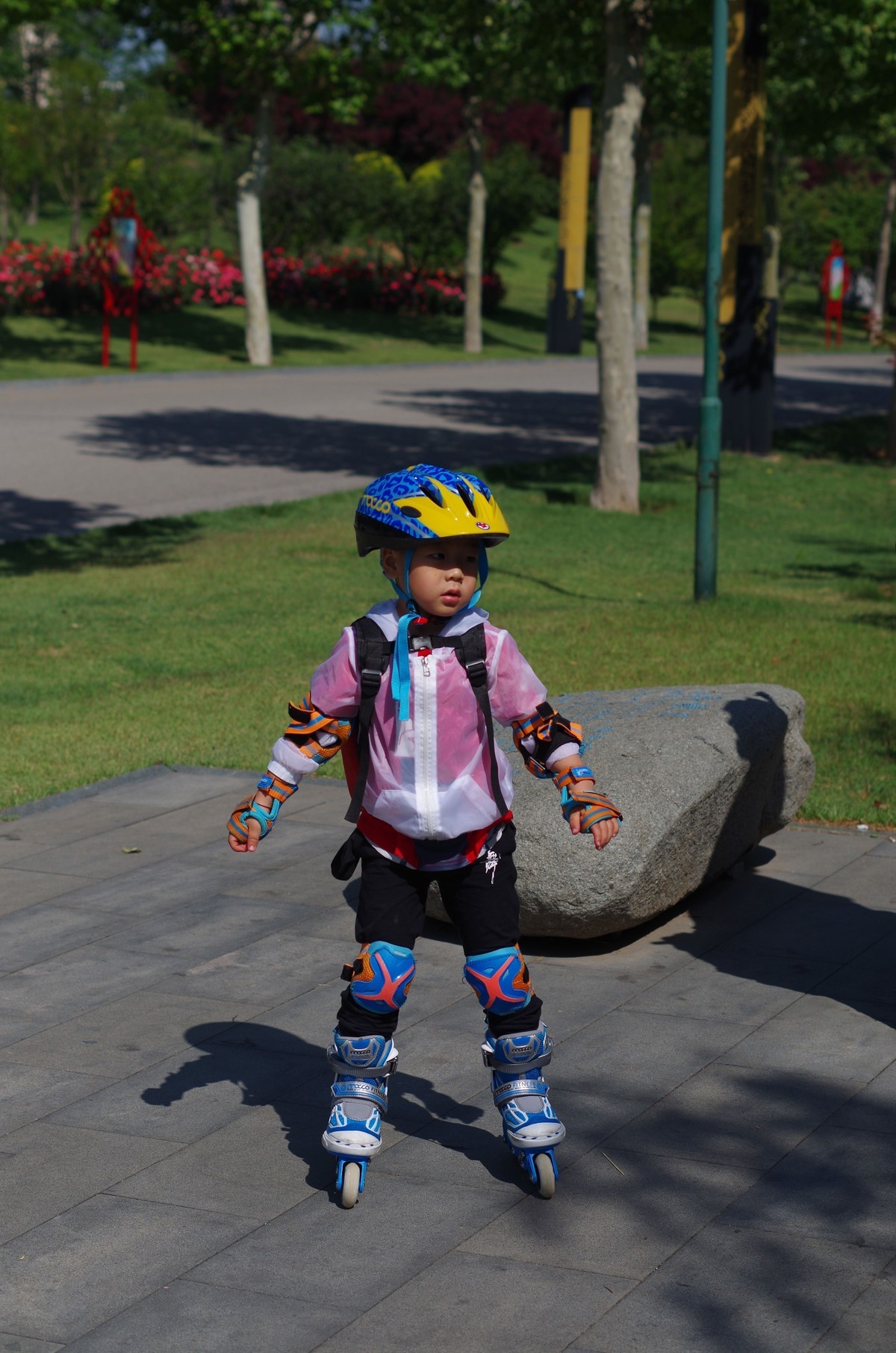 夏天静悄悄叶绿花红