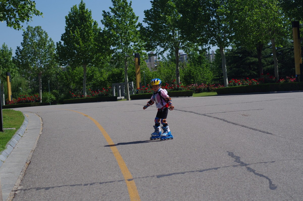 夏天静悄悄叶绿花红