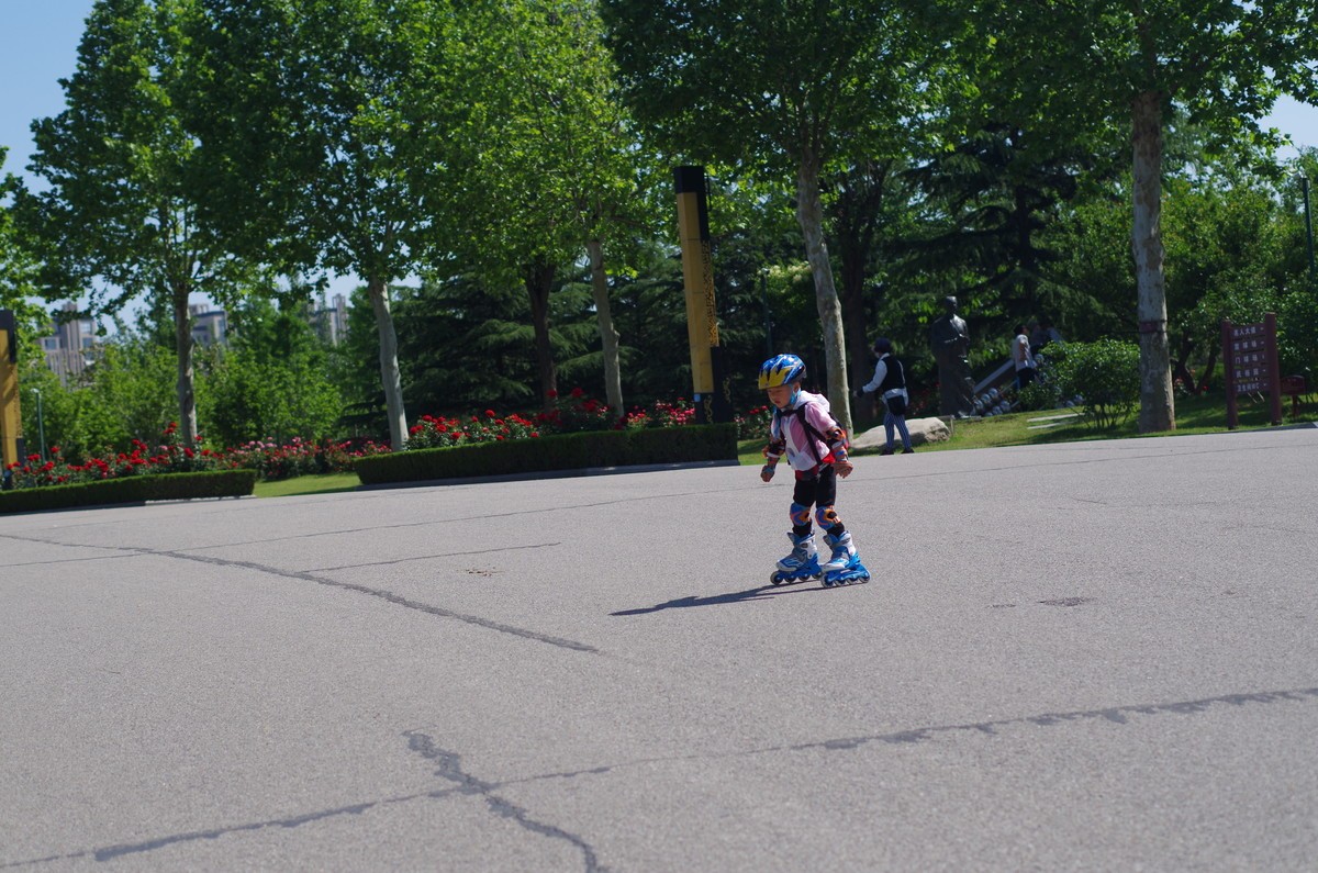 夏天静悄悄叶绿花红