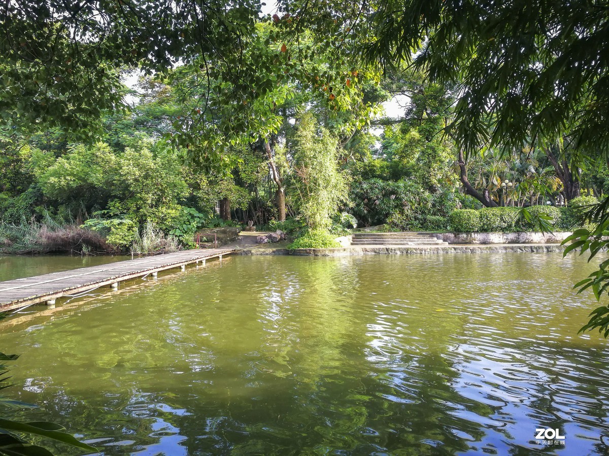 深圳東湖公園~ 掠影