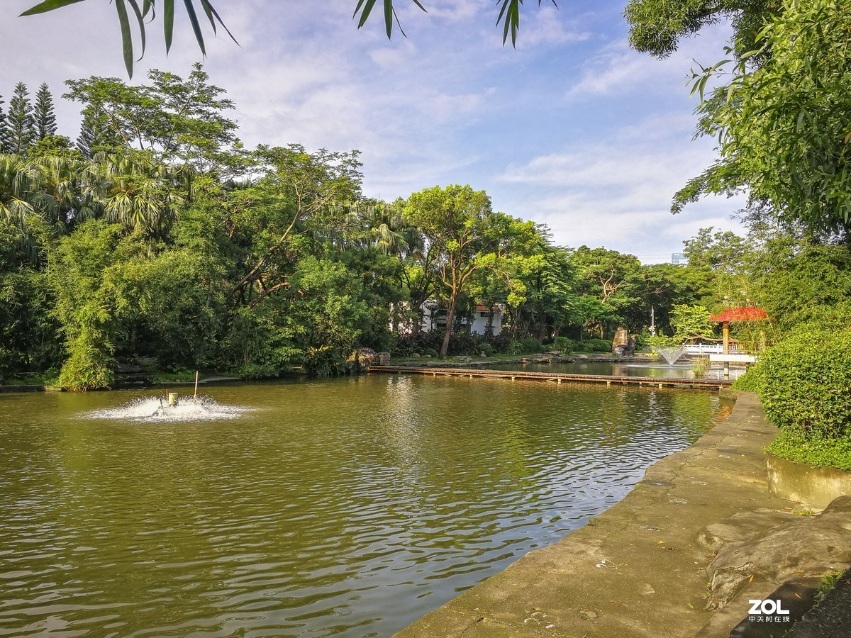 深圳東湖公園掠影