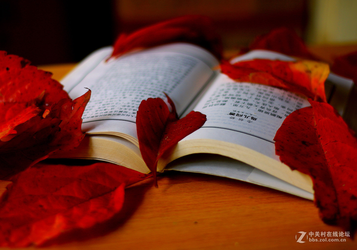 新买佳能镜头:EF50mm f/1.8 STM试镜