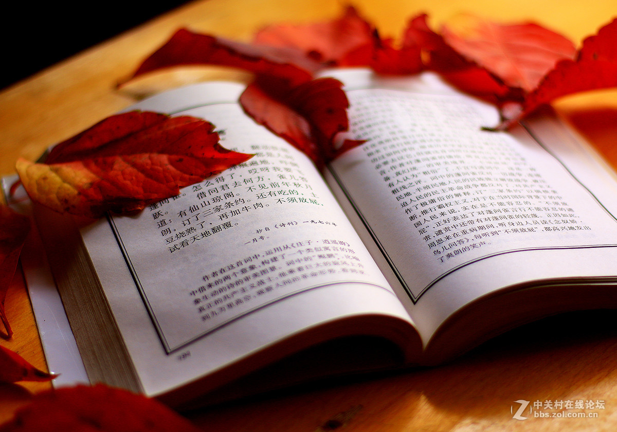 新买佳能镜头:EF50mm f/1.8 STM试镜