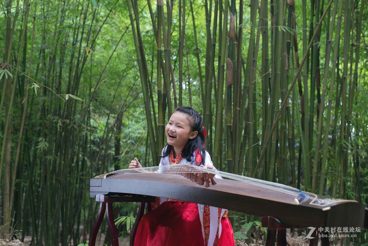 人像竹林中弹奏古筝的小姑娘们