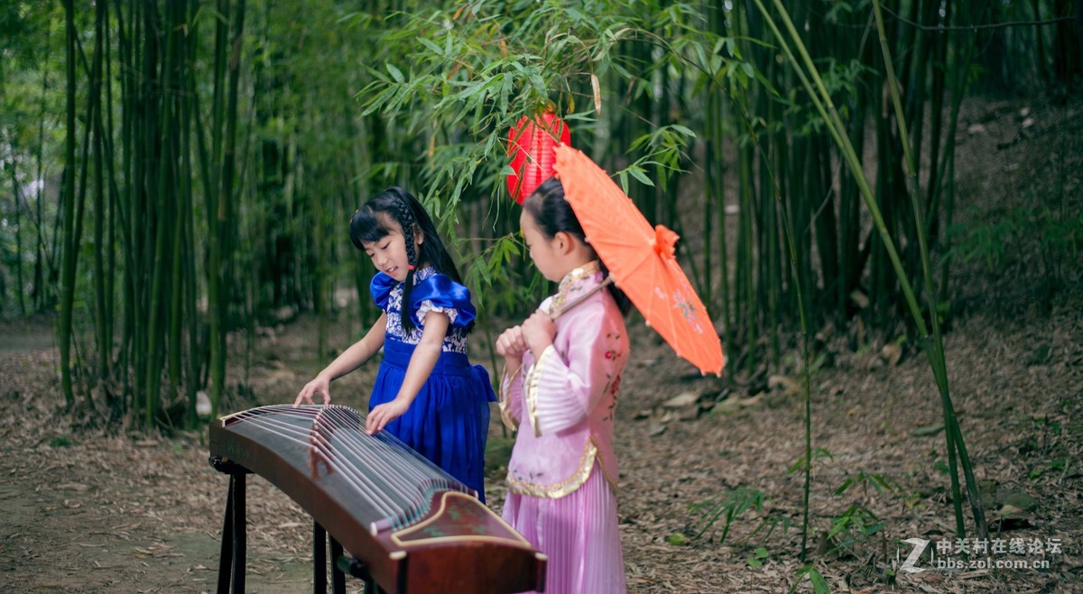 人像竹林中弹奏古筝的小姑娘们