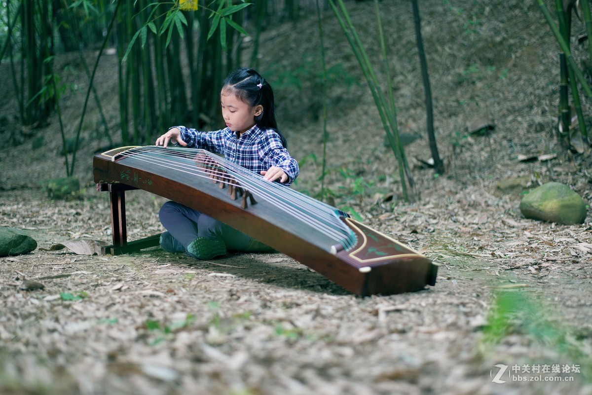 人像竹林中弹奏古筝的小姑娘们