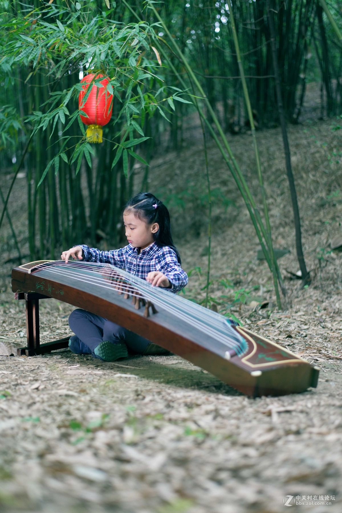 人像竹林中弹奏古筝的小姑娘们