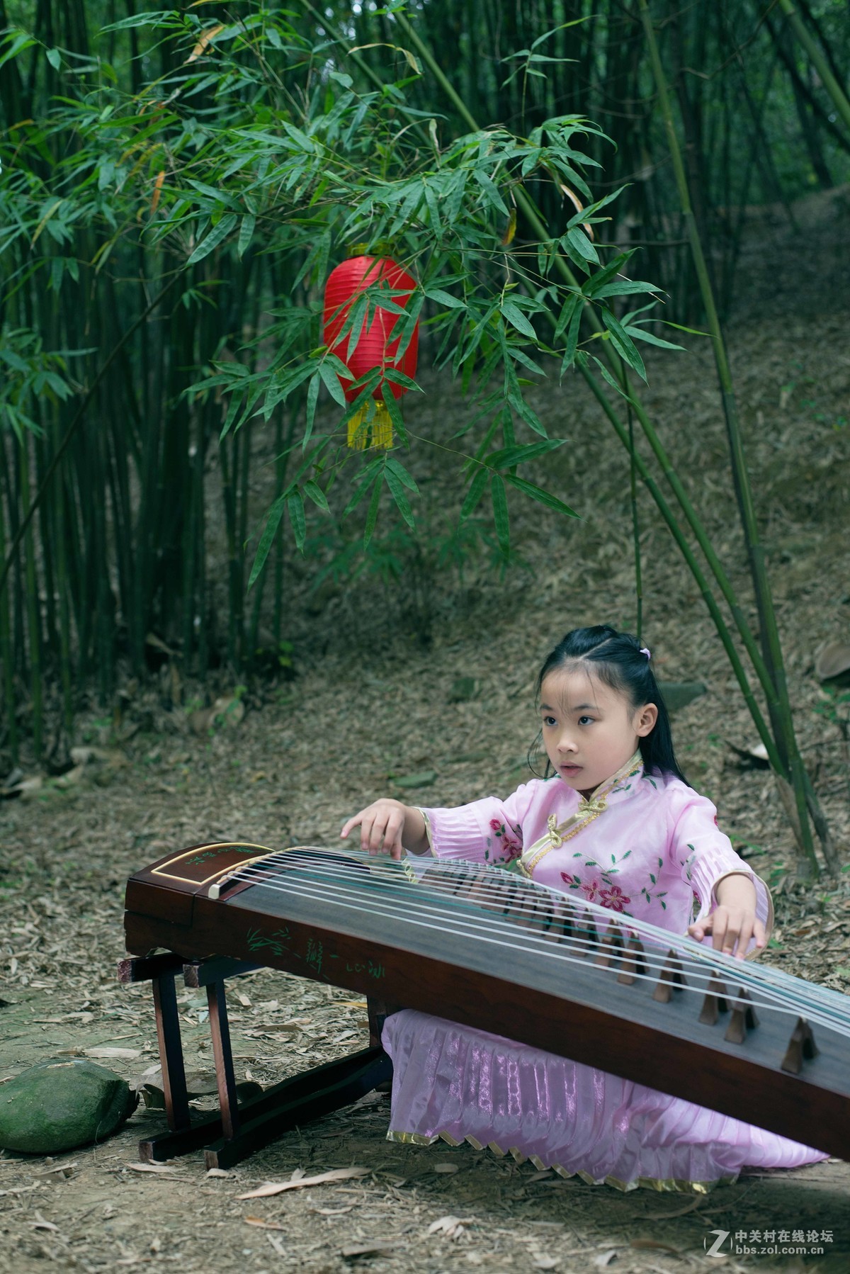 人像竹林中弹奏古筝的小姑娘们