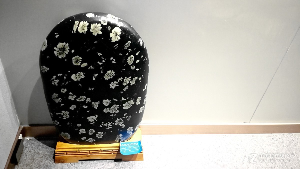 2018【药王庙的花卉、石头随拍】（手机版）