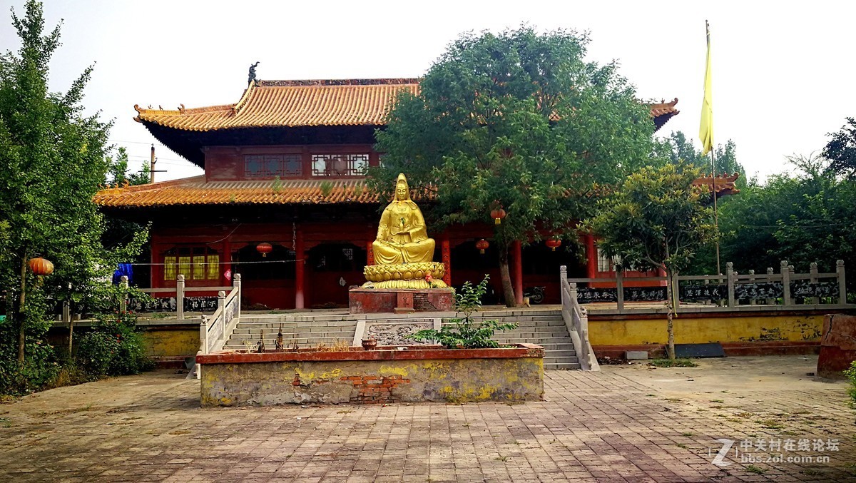 2018【药王庙的花卉、石头随拍】（手机版）